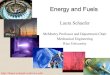 Laura Schaefer - Energy and Alternative Fuels