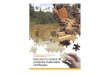 Guía para la compra de productos maderables certificados