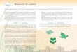 Version pdf de cette Fiche activité - issue du guide Immeuble au vert