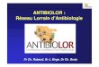 Antibiolor, réseau lorrain d'antibiologie