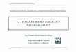 2.2 TEORIA DE BIENES PUBLICOS Y EXTERNALIDADES