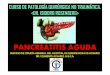 CLASE DE PANCREATITIS AGUDA 2016. DR. FLAVIO MAROZZI Y DRA. ENCARNACIÓN ALONSO
