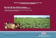 INTA-Buenas Prácticas Agrícolas en Cultivo de Batata.pdf