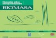 Manuales sobre energía renovable: Biomasa