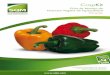 Guía de Manejo de Nutrición Vegetal de Especialidad