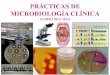 PRÁCTICAS DE MICROBIOLOGÍA CLÍNICA