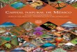 Capital Natural de México. Acciones Estratégicas para su valoración 