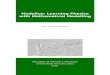 Modellus: Learning Physics with Mathematical Modelling