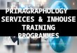 Primagraphology services and programme for corporate