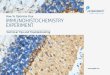 How To Optimize Your Immunohistochemistry Experiment