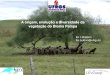 A origem, evolução e diversidade da vegetação do Bioma Pampa