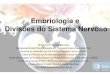 2 Embriologia do Sistema Nervoso