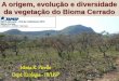 A origem, evolução e diversidade da vegetação do Bioma Cerrado