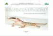 Ecologia e história natural de população Hemidactylus agrius 