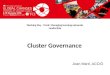 TCI 2016 Cluster Governance