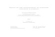 Essays on the Measurement of Economic Concepts in Surveys