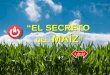 #65 ¡El secreto del maíz!