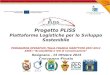Programma operativo Italia-Francia marittimo 2007-2013 ASSE I “Accessibilità e reti di comunicazione”
