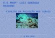 Efeito da-poluição-nos-corais-1°B