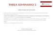 Tarea seminario 3. bases en castellano