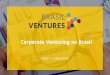 Apresentação Resutaldo Parcial da Pesquisa Brasil Ventures - Maio 2016
