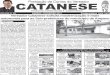 Vereador Catanese solicita modernização e mais autonomia para as Sub-prefeituras do município de Amparo