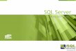 SQL Server Security Best Practices - Евгений Недашковский