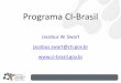 Atividades e Resultados do Programa CI-Brasil