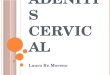 Adenitis cervical