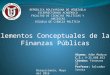 Elementos conceptuales de las finanzas publicas