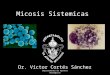 4.  Micosis sistemicas