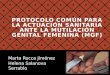 (2016-11-29)Mutilacion genitalfemenina(PPT)