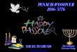 PESACH –PASSOVER- 2016- 5776 - A C -