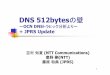 JANOG 15 - DNS 512bytesの壁 OCN DNSトラヒック分析より