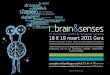 Programme i-brain & senses