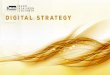 Digital Marketing Strategy - Thẩm mỹ viện Nano Collagen 2016