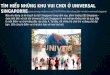 Tìm hiểu những khu vui chơi ở Universal Singapore