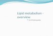 Overview of lipid metabolism