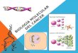 Biología molecular-del-cáncer (2) [Recuperado]
