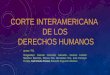 Corte interamericana de los derechos humanos
