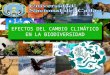 Efectos del cambio climático en la biodiversidad (1)