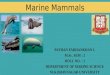 marine mammals ,Farhankhan pathan