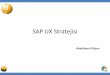 SITIST 2015 Dev - SAP UX Strategy