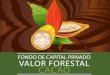 fondo de capital privado vf cacao