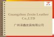 Guangzhou zexin leather co.,ltd -ppt (1)