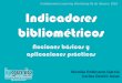Indicadores Bibliométricos: Nociones básicas y aplicaciones prácticas