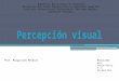 percepción visual