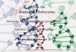 Atlas de biologia molecular mglc