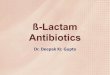 Lactam antibiotics