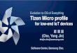 Tizen Micro Profile for IoT device